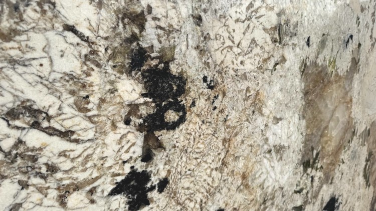 Patagonia Alpinus Detal 2