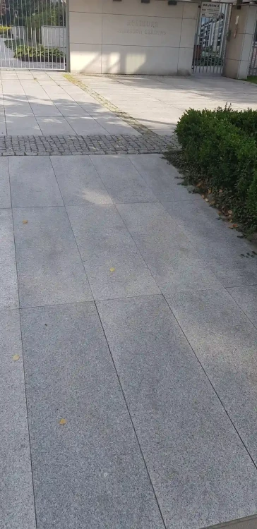 225.